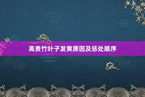 高贵竹叶子发黄原因及惩处顺序