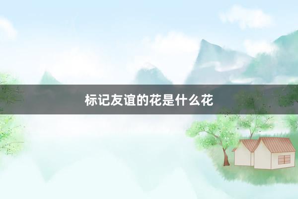 标记友谊的花是什么花